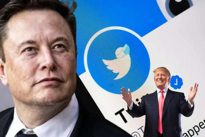 Elon musk and donald trump and X users