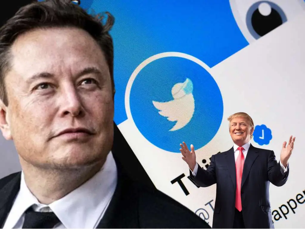 Elon musk and donald trump and X users