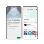 Fitbit Labs app screen on mobile with gemini