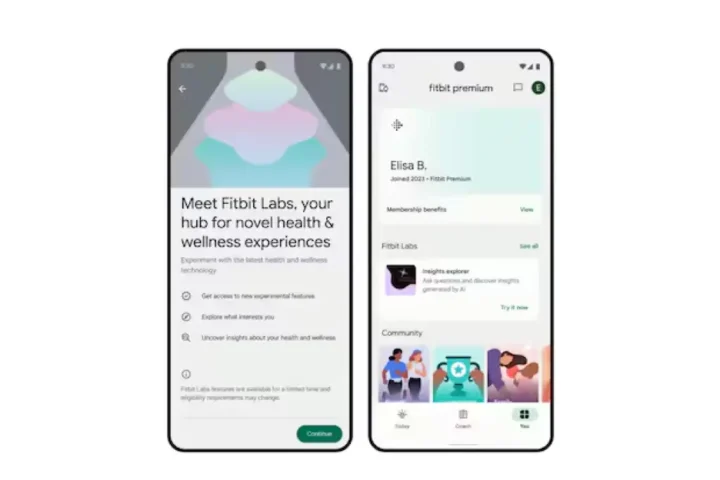 Fitbit Labs app screen on mobile with gemini