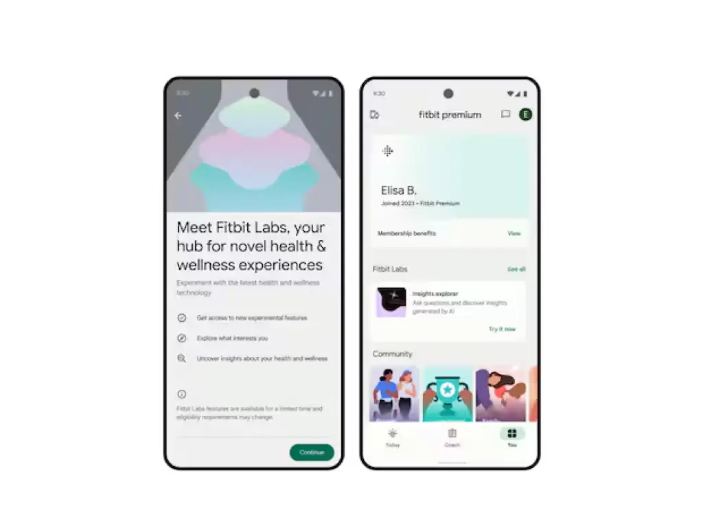 Fitbit Labs app screen on mobile with gemini