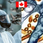 Canada Detects First Human Case of Bird Flu in Teenager